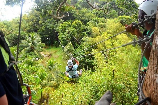 Trinidad Zipline Adventure - Quick take: the best reasons to go
