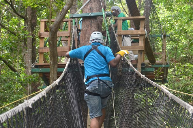 Trinidad Zipline Adventure - Zipline height and cable length: what you should expect overhead