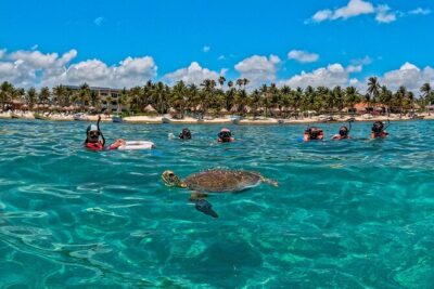 Turtle Snorkeling and Jungle Adventure with Cenote - Pickup timing from Playa del Carmen, Cancun, and Tulum