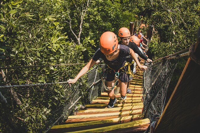 Turtle Snorkeling and Jungle Adventure with Cenote - Cenote park zipline and rappel: adrenaline with real structure
