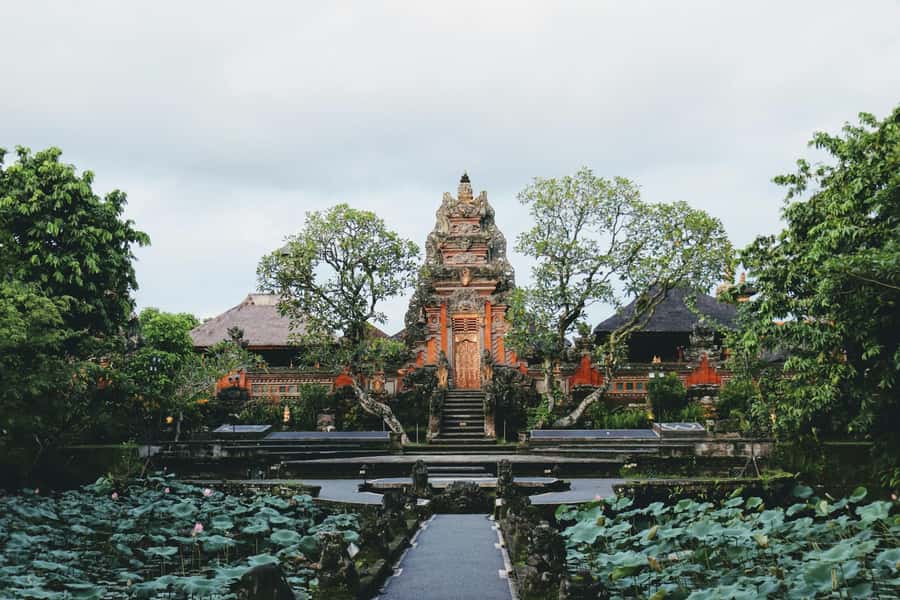 Ubud 3-in-1: Swing, Zipline & SkyBike Adventure - U Fun Field: the first break and your first big photo stage