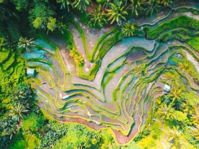 Ubud 3-in-1: Swing, Zipline & SkyBike Adventure - Pickup, private driving, and how the 8-hour timing really feels