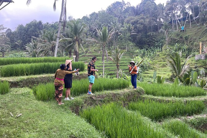 Ubud: ATV Rafting + Zipline, Swing, Sky Bike in Bali Rice Terrace - Who should book this Ubud adventure, and who should skip