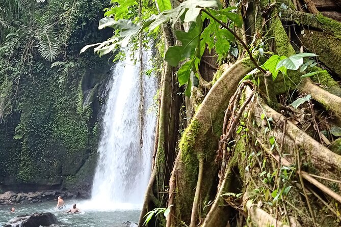 Ubud Half Day Zipline and Jungle Swing - Coffee and tea: the calm finish you actually need