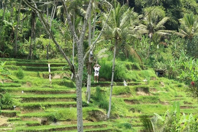 Ubud Half Day Zipline and Jungle Swing - Price and value: what you get for $69.80