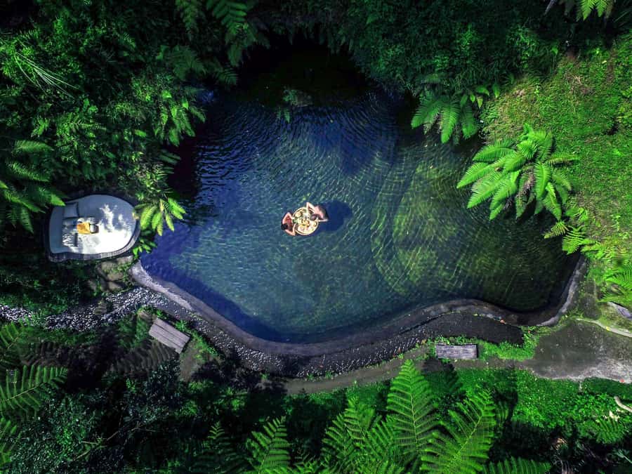 Ubud: Half-Day Zipline and Jungle Swing Adventure - Price and Value: Is About $33 Really Worth It?