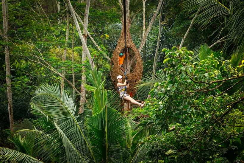 Ubud: Half-Day Zipline and Jungle Swing Adventure - Zipline Through Coconut Trees: How the Views Work