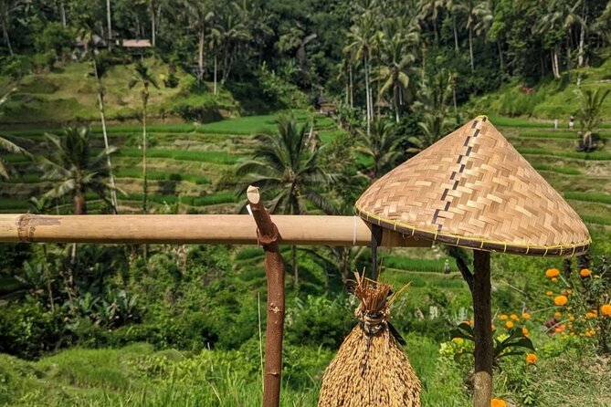 Ubud Half Day Zipline and Jungle Swing - Ubud rice terraces and irrigation: the views get a story