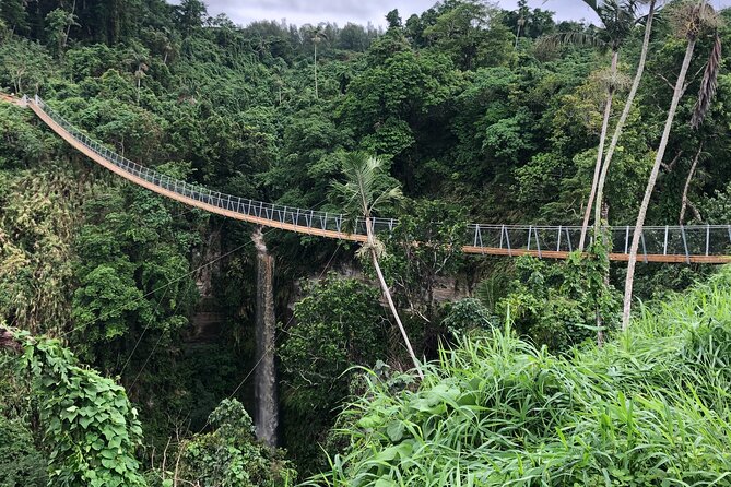Vanuatu Jungle Zipline, Swing and Skybridge Combo with Transfer - Smart Preparation: Clothing, Shoes, and Comfort