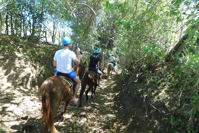 VIP DayPass: ATV, ZipLine, Horse Riding / Shore Excursion & Hotel - Horseback Riding: Countryside Views and What Experienced Riders May Get