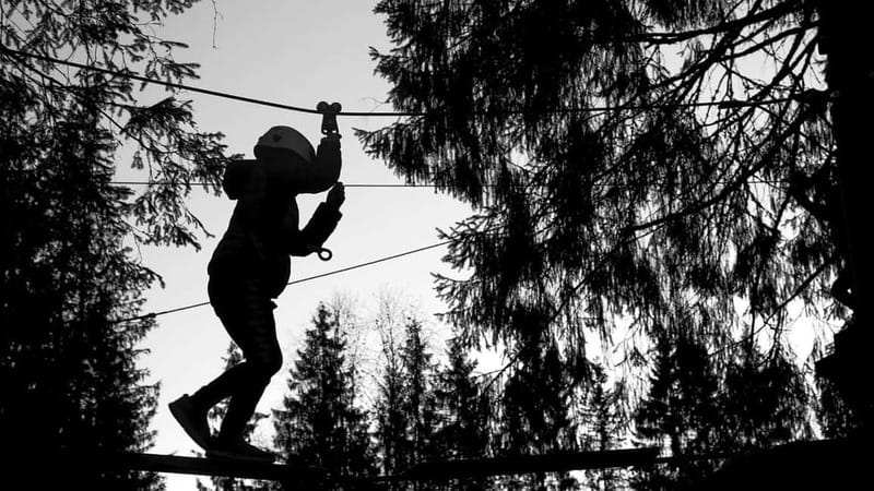 Voss High Rope & Zipline Park - The 27 Climbing Elements: Testing Balance Without Guesswork