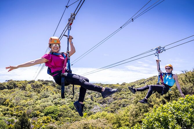 Waiheke Island: Zipline And Forest Walk - Key Things You’ll Notice Right Away
