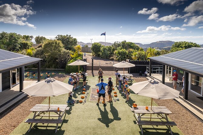 Waiheke Island: Zipline And Forest Walk - Waiheke Island From the Air and On Foot