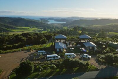 Waiheke Island: Zipline And Forest Walk - Ferry Day Reality: How to Time Your Half-Day