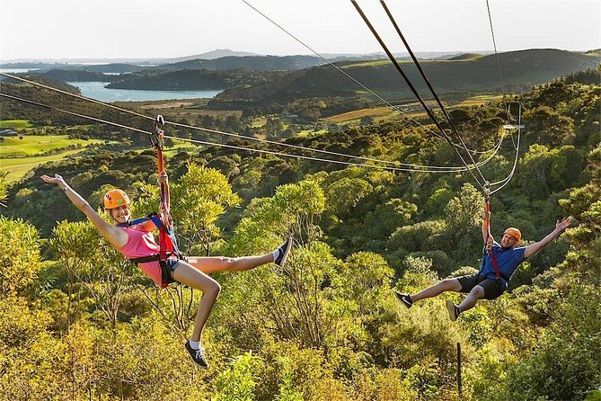 Waiheke Island: Zipline And Forest Walk - Safety and Gear Up: What Fully Accompanied Means Here