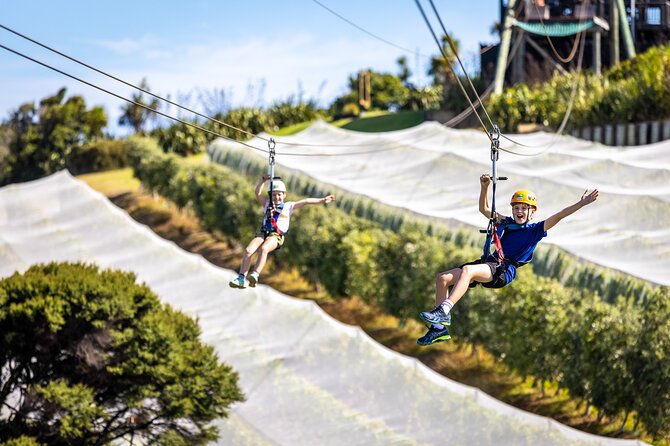 Waiheke Island: Zipline And Forest Walk - The Three Zipline Flights: Vineyard First, Then Valley and Native Forest