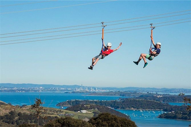 Waiheke Island: Zipline And Forest Walk - The Walk Back Through Centuries-Old Native Forest