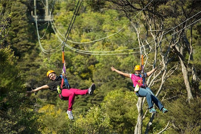 Waiheke Island: Zipline And Forest Walk - Price and Value: What You Pay for at $92.47