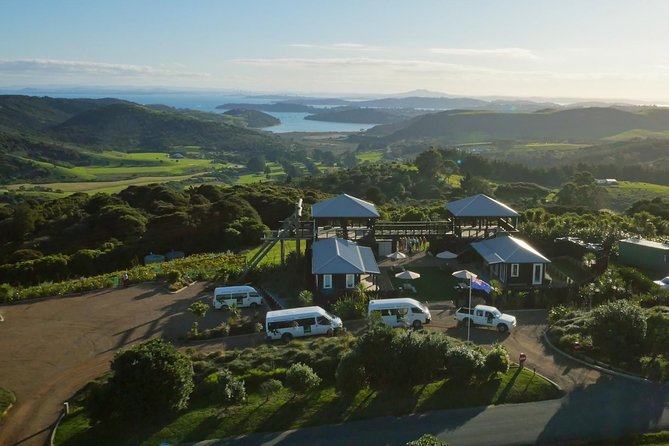 Waiheke Island: Zipline And Forest Walk - Ferry Day Reality: How to Time Your Half-Day