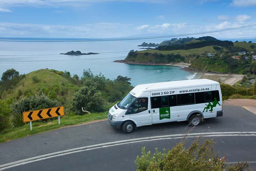 Waiheke Island: Zipline and Native Forest Adventure Trip - Waiheke first: how meeting at Matiatia affects your whole day