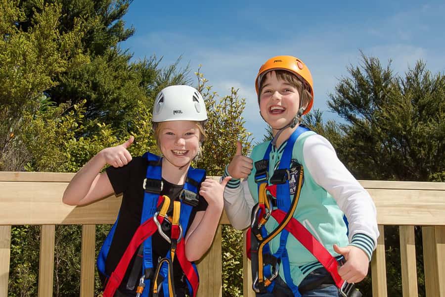 Waiheke Island: Zipline and Native Forest Adventure Trip - The walk back: interpretive bush hiking with Maori and European context
