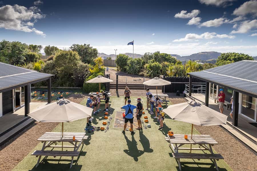 Waiheke Island: Zipline and Native Forest Adventure Trip - Waiheke mini-tour: vineyards, beaches, and the island’s contrast in one ride