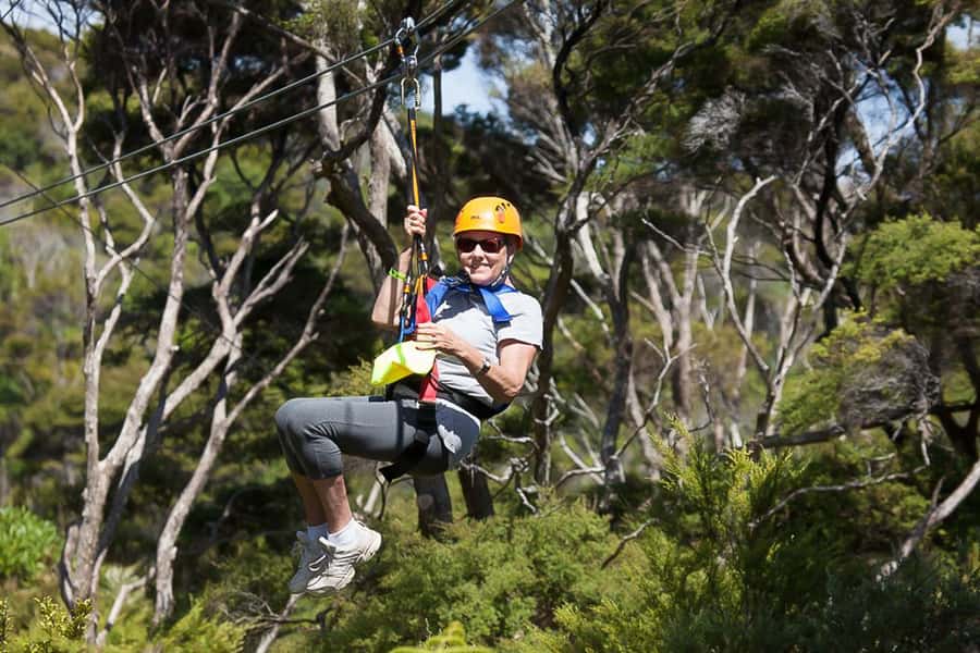 Waiheke Island: Zipline and Native Forest Adventure Trip - Value check: is $89 worth it for three 200-meter dual flights?