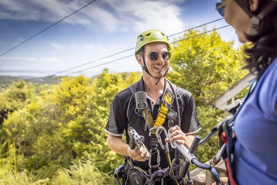 Waiheke Island: Zipline and Native Forest Adventure Trip - Should you book EcoZip on Waiheke? My decision guide