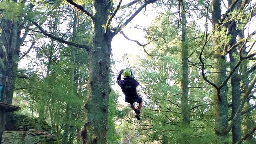Waitomo Caves 1-Kilometer-Long Zipline Tour - Waitomo’s 10-Line Zipline: What You Fly Over