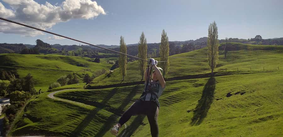 Waitomo Caves 1-Kilometer-Long Zipline Tour - Your Course Breakdown: 10 Rides, Rising Lengths, and the Lookout Point