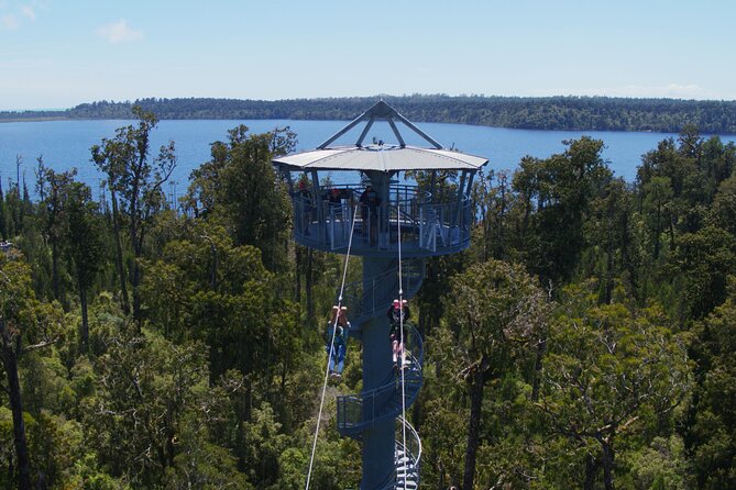 West Coast Tower Zipline & Treetop Walk Combo - Key Highlights Worth Your Attention