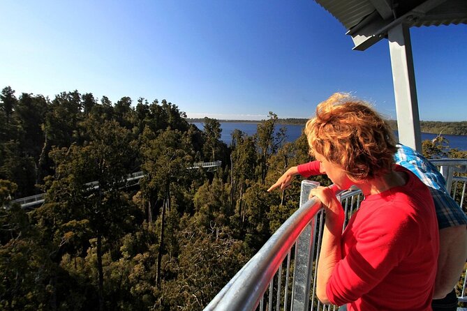 West Coast Tower Zipline & Treetop Walk Combo - Where the Adventure Begins: Ruatapu Tree Top Visitor Centre