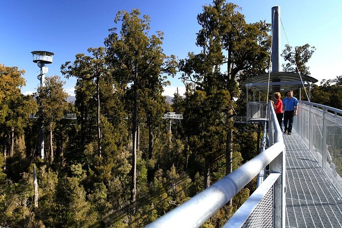 West Coast Tower Zipline & Treetop Walk Combo - 45m Tandem Zipline: The Moment of Flying (and the One Caveat)
