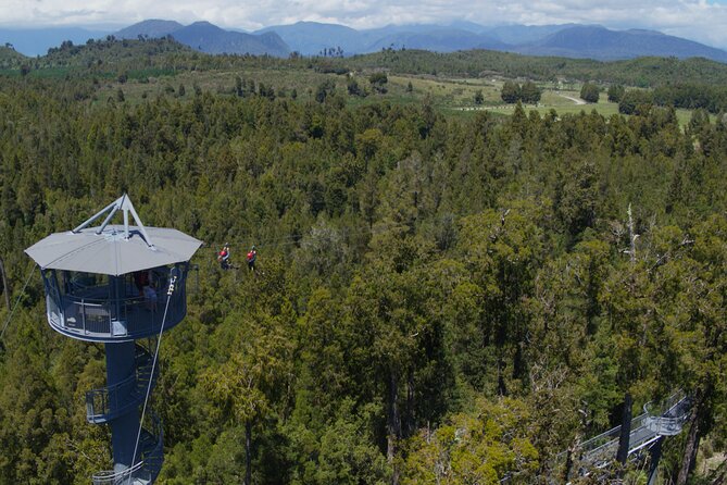 West Coast Tower Zipline & Treetop Walk Combo - Private Guide Advantage: Why This Feels Different Than Big Tours