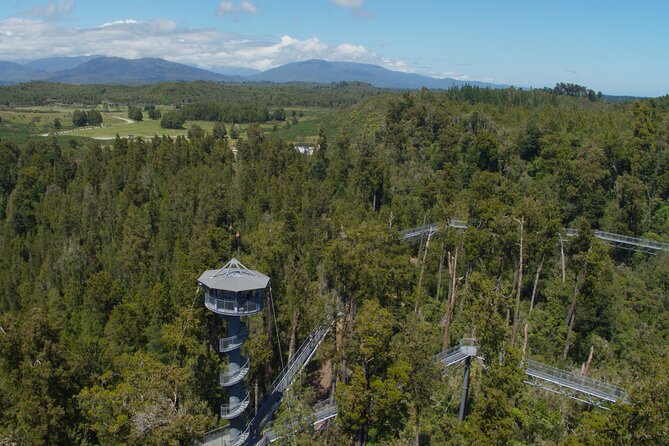 West Coast Tower Zipline & Treetop Walk Combo - Who This Tour Suits Best (and Who Should Rethink)
