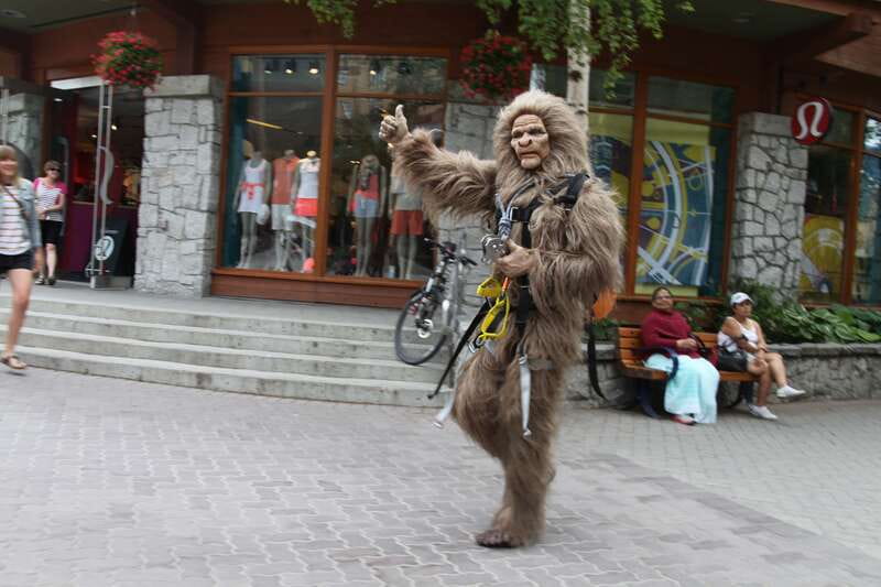 Whistler: The Longest Zipline in North America - Who This Zipline Is For (And Who Should Skip It)