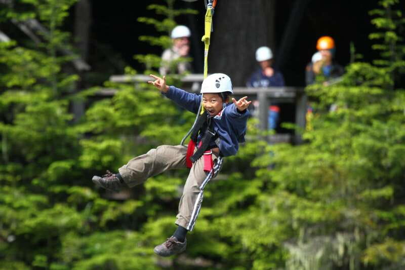 Whistler Zipline Experience: Ziptrek Bear Tour - Ziptrek Bear Tour in Whistler: What This Experience Feels Like