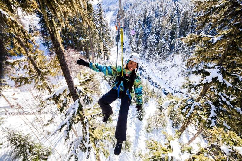Whistler Zipline Experience: Ziptrek Bear Tour - Time on the Ground: What 150 Minutes Really Means