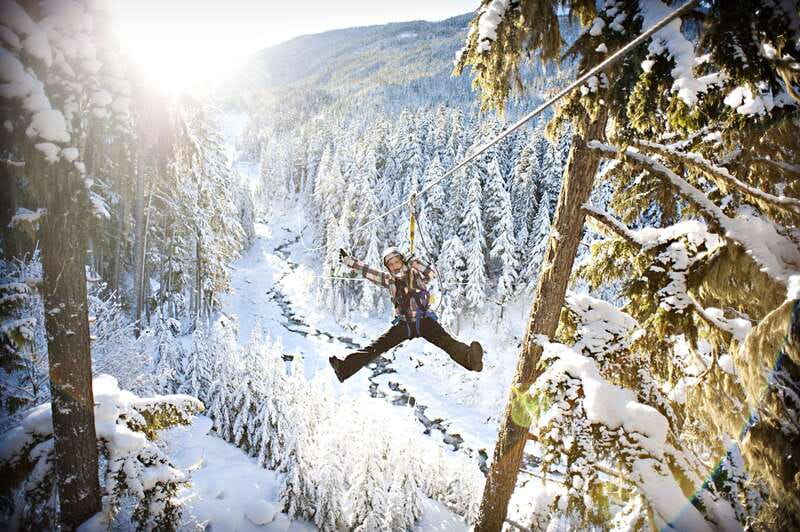 Whistler Zipline Experience: Ziptrek Bear Tour - Price and Value: Is $115 Worth It?