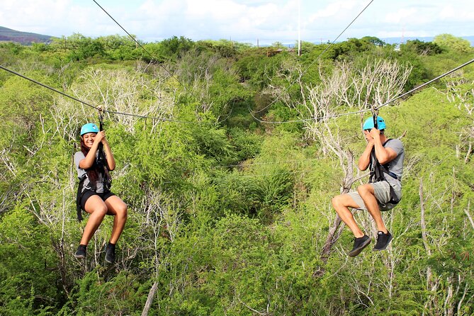 Zip & Dip: Zipline and Wet 'n' Wild Waterpark Combo - Timing: a two-hour morning with two different moods