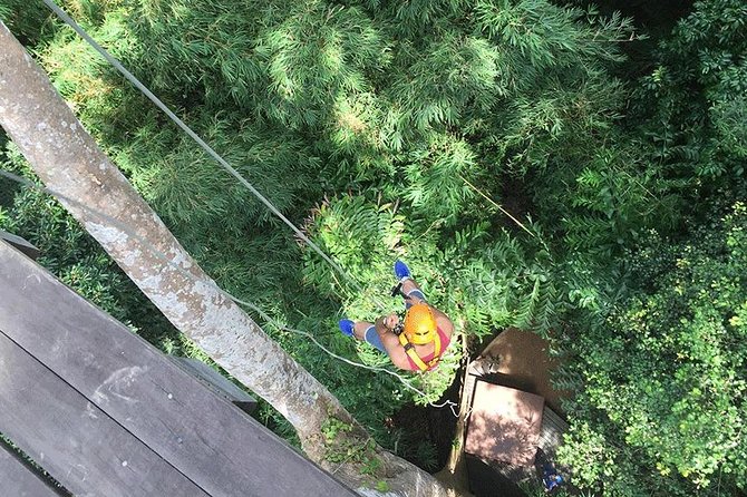 Zipline 18 Platforms and ATV Adventure Tour From Phuket - What’s included: the practical value, not just the headline