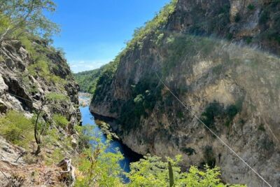 Zipline Adventure from Caduaño - The Desert Oasis Safari: Flora and Fauna Lessons You’ll Actually Use