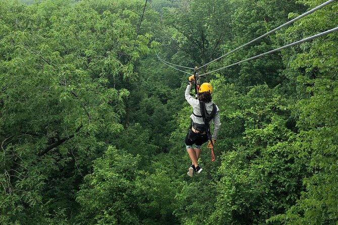Zipline Adventure in Galena, Illinois - Key things to know before you go