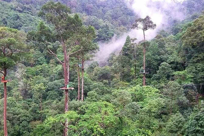 Zipline Adventure in KohSamui 10 Cables with Mountain & Sea Views - Small Extras That Make the Day Feel More Fun
