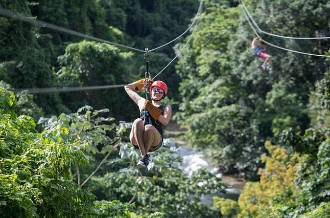 Zipline Adventure in Punta Cana – Thrilling Canopy Experience - Group Size (Up to 14) Changes the Whole Vibe