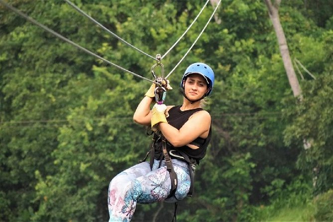 Zipline Adventure In The Rainforest - Key highlights that matter