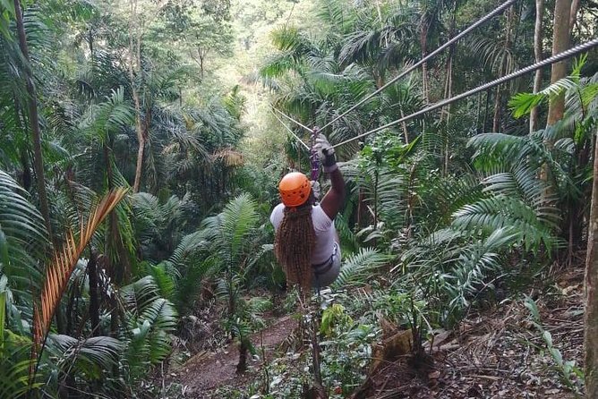 Zipline Adventure In The Rainforest - From Panama City to Colon Province: the ride that sets the tone