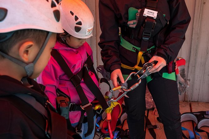 Zipline Adventure in Whistler - Quick hits before you book