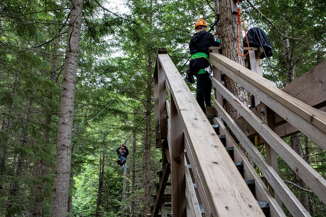 Zipline Adventure in Whistler - What you pass through: suspension bridges, treetop platforms, and trail connectors