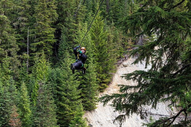 Zipline Adventure in Whistler - Winter in Whistler: snow-covered trees and a different kind of adventure